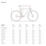 Bicicleta de piñón fijo 6KU – Nebula 2-612